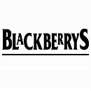 Black Berry Customer Care